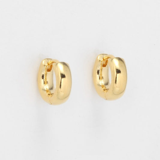 Delicate Hoop Earrings