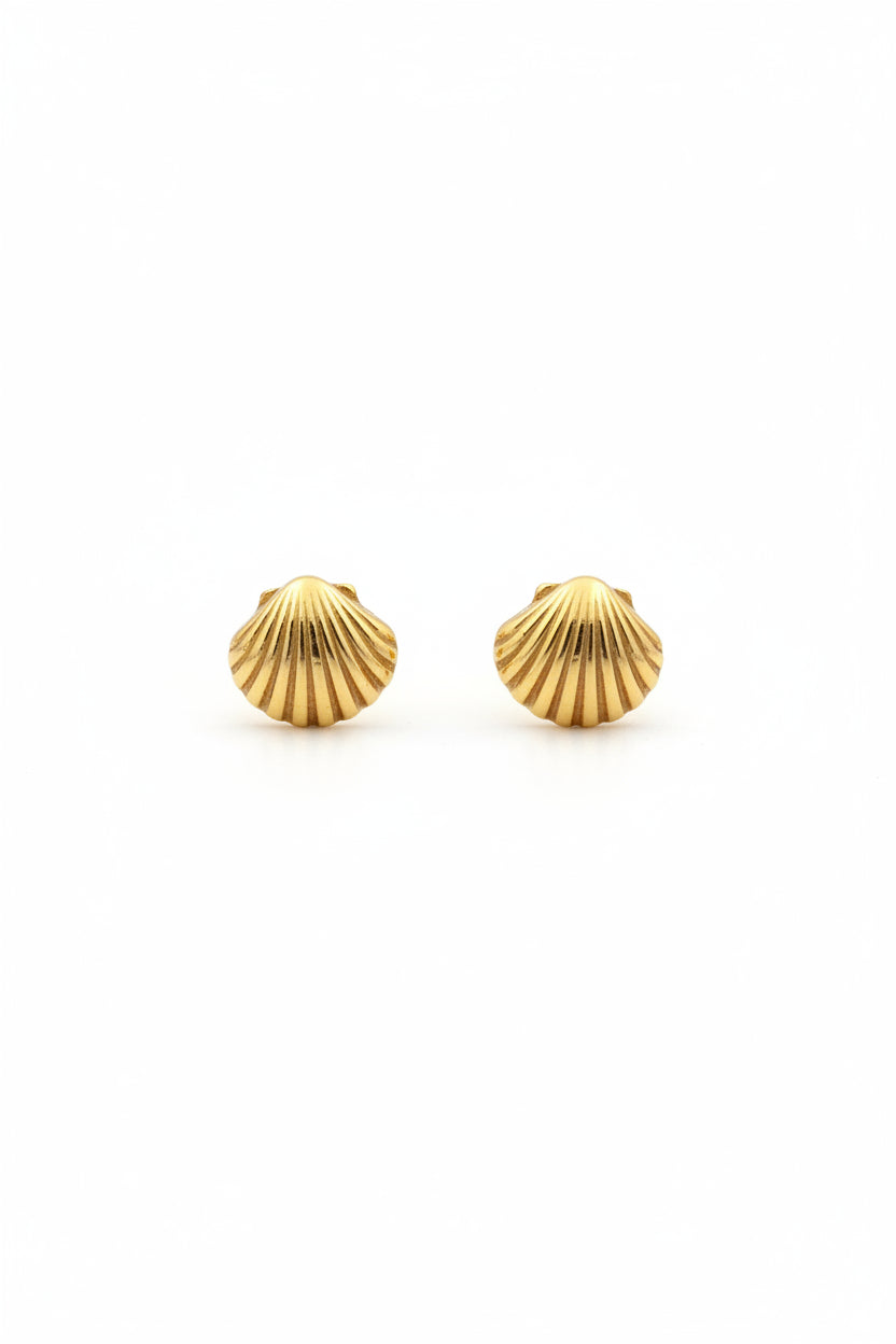 Dainty Shell Stud Earrings