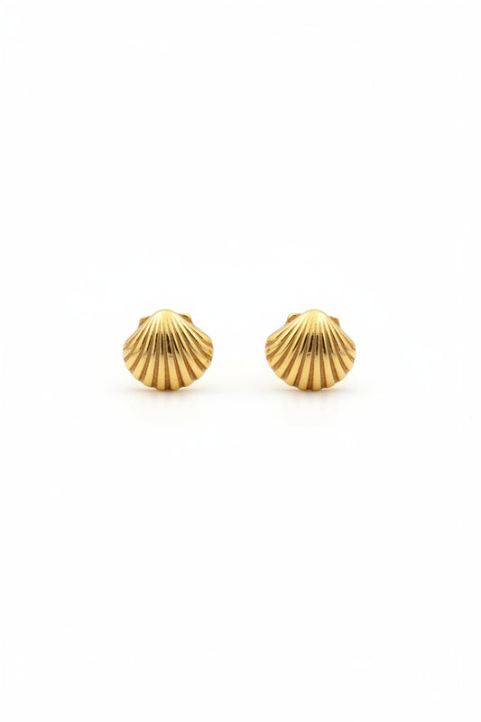 Dainty Shell Stud Earrings