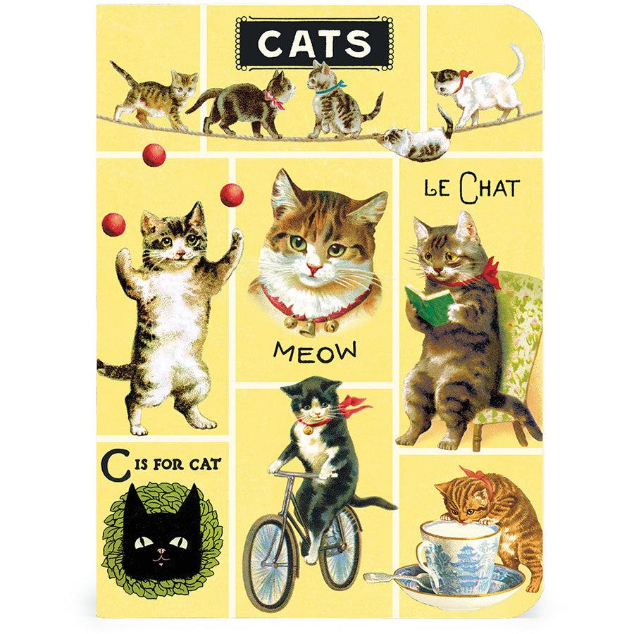 Cats
Mini Notebooks