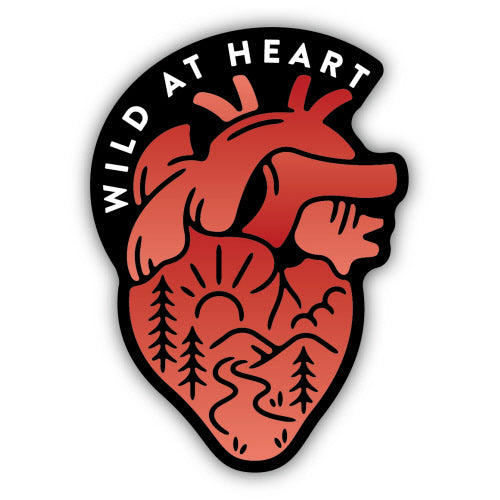 WILD AT HEART ANATOMICAL HEART | STICKER