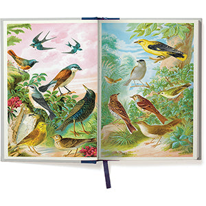 Birdwatching Window Journal