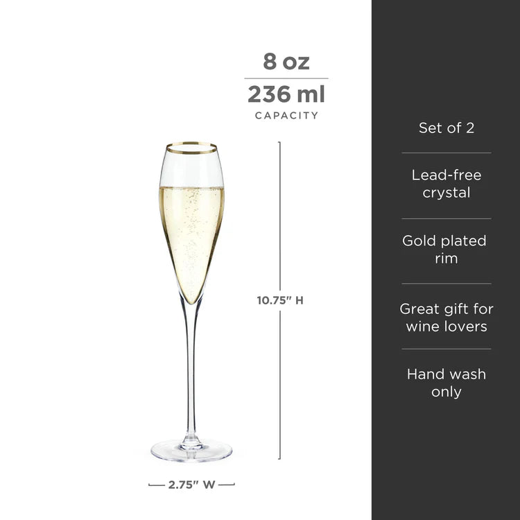 Gold Rimmed Champagne Flutes Set Of 2
