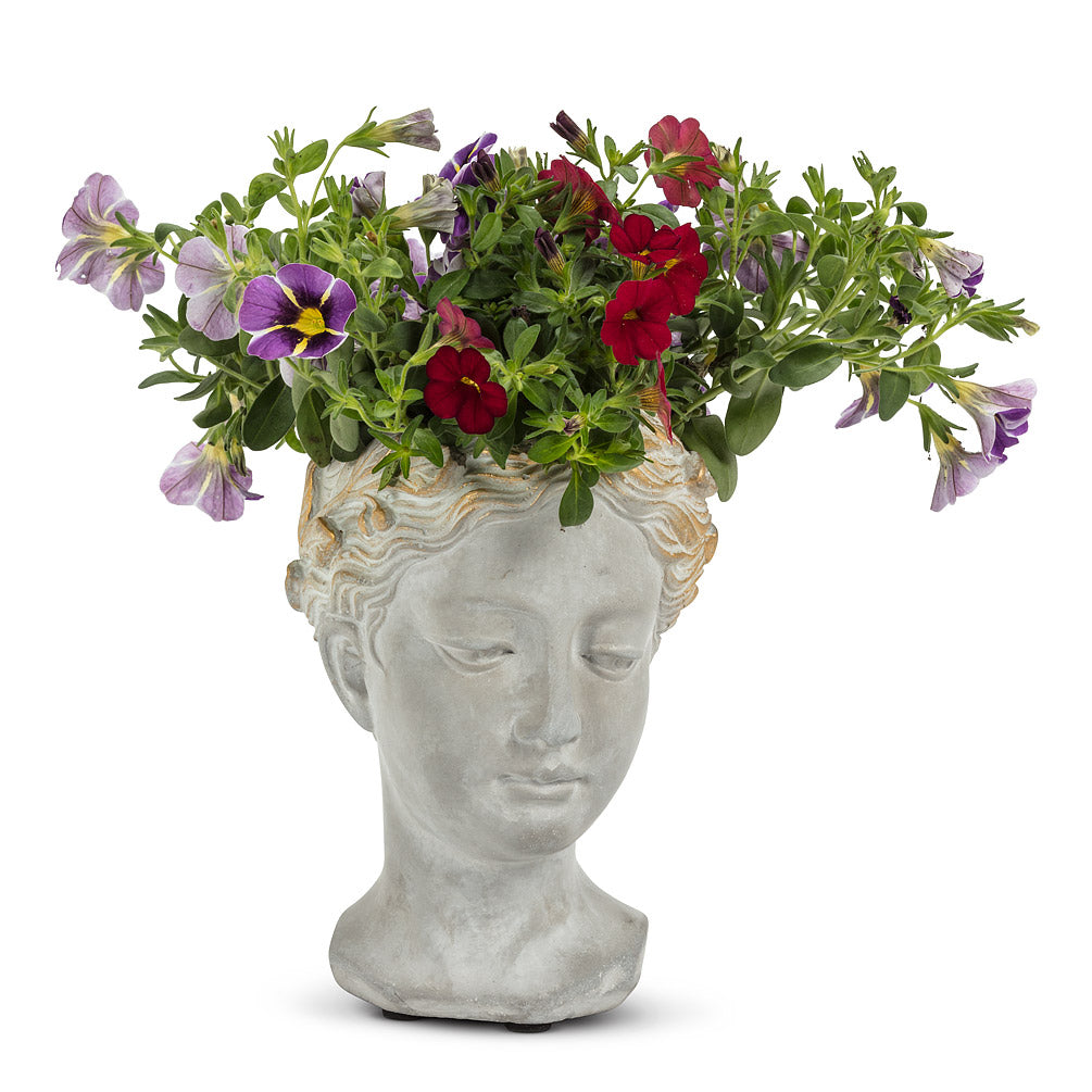 Planter - Aphrodite Head