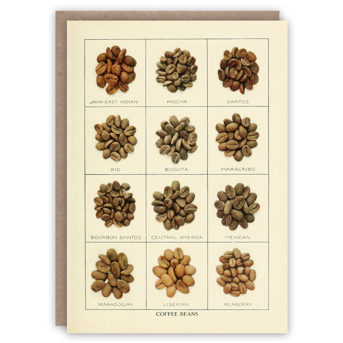 Coffee greeting card