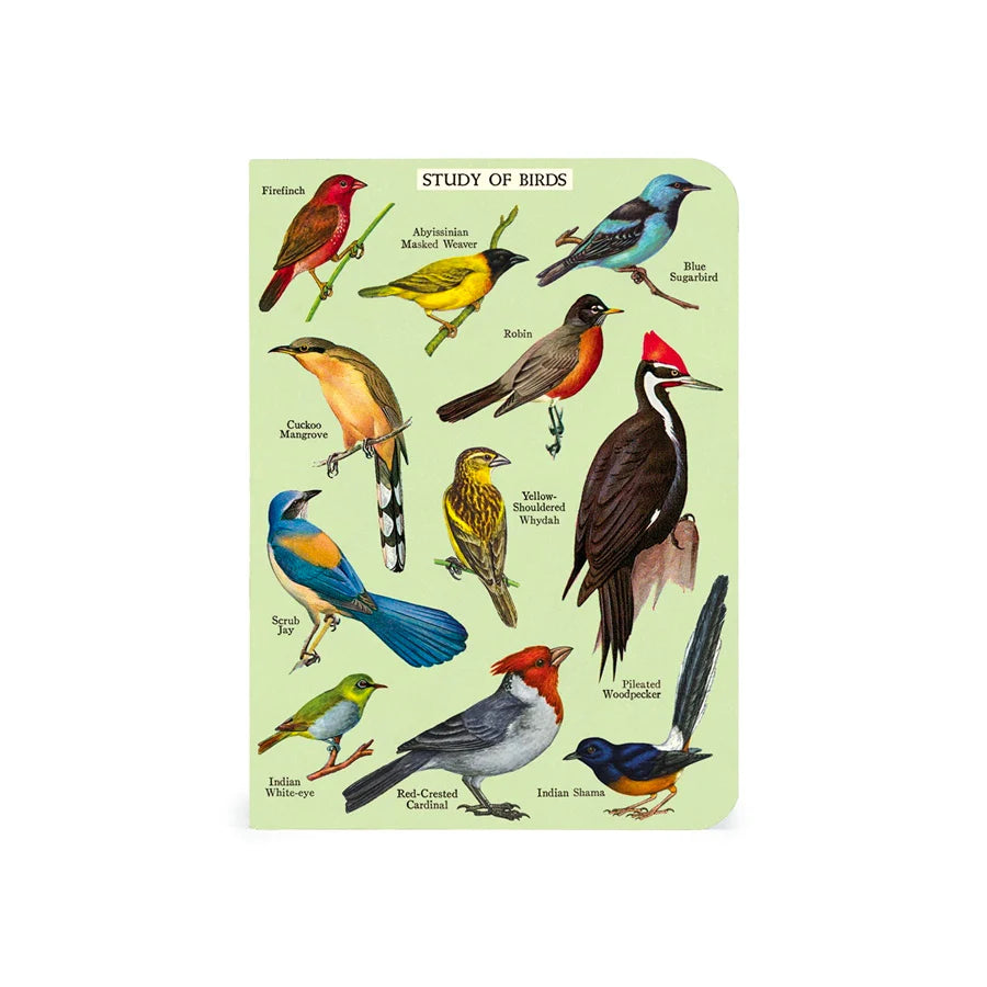 3 Mini Notebooks - Bird Watching
