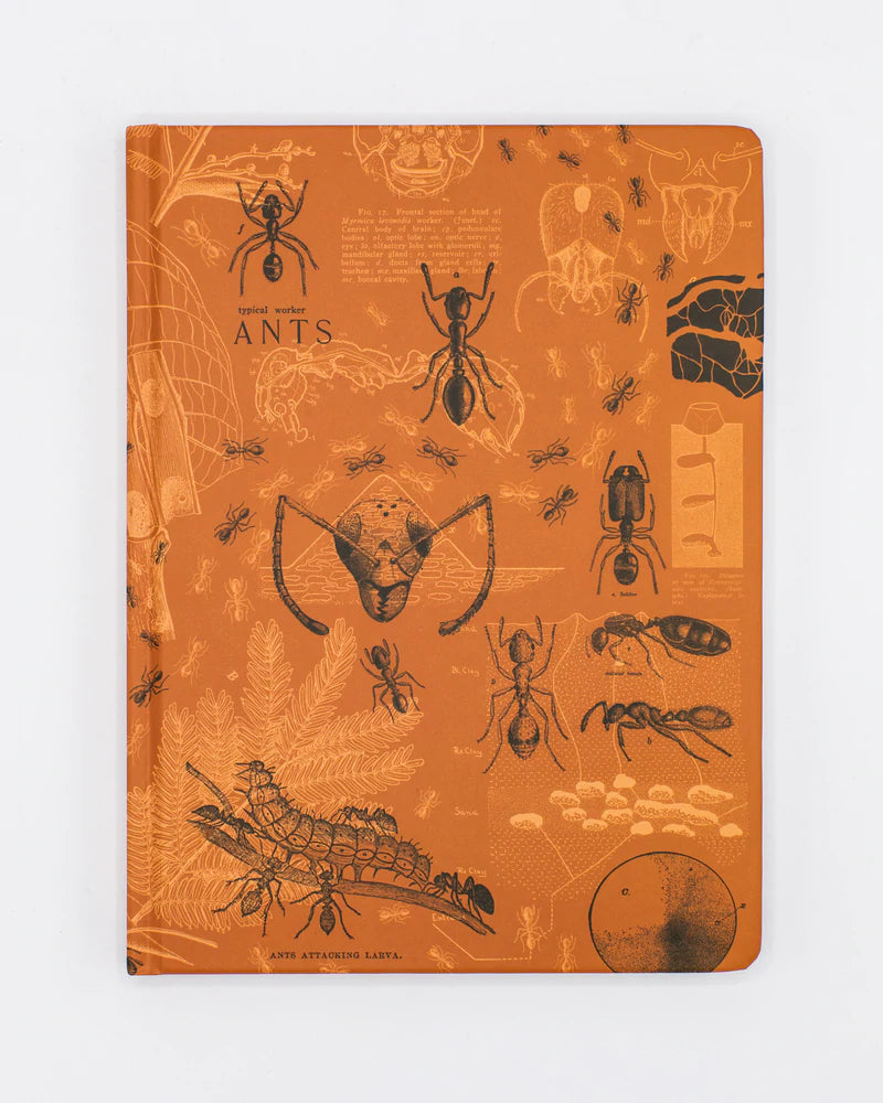 Soft Cover Notebook - Ant