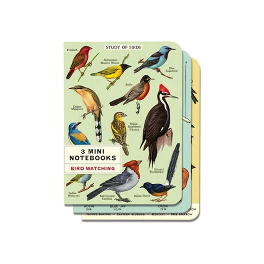 3 Mini Notebooks - Bird Watching