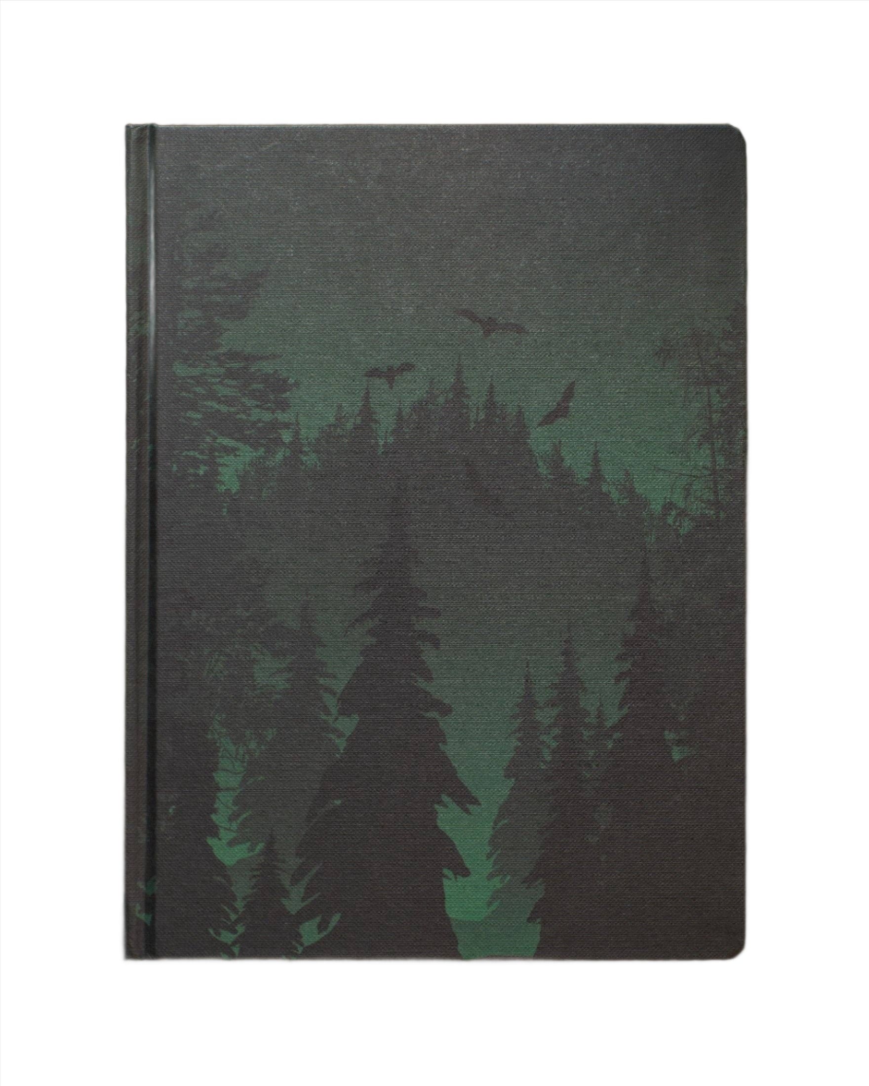 Twilight in the Evergreen Forest Dark Matter Notebook