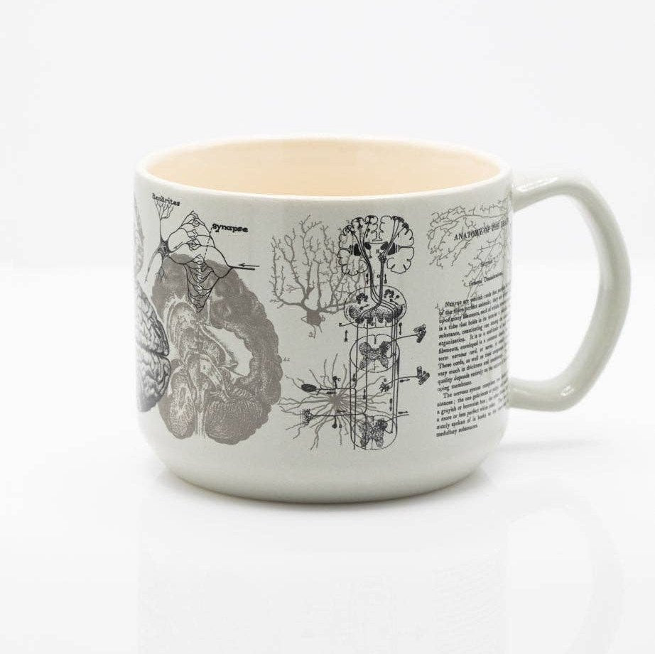 Brain Ceramic Mug