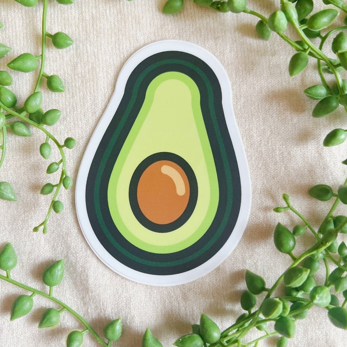 Avocado - Sticker