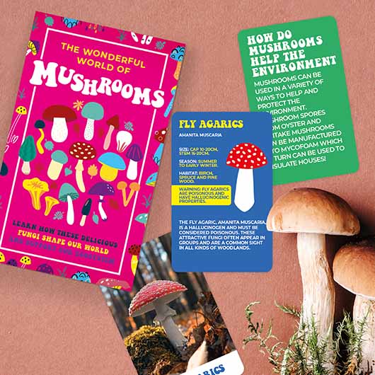 World of Mushroom Cards